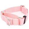 1 1/2 Inch Martingale Collar for Medium Size Dogs Made of Heavy Duty Nylon