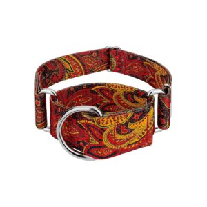 1 1/2 Inch Wide Martingale Dog Collar with Fire Paisley Pattern and Medium Size