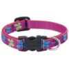 1/2 Adjustable Nylon Collar for Small Dog Owners Wing It Pattern