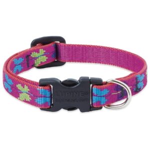 1/2 Adjustable Nylon Collar for Small Dog Owners Wing It Pattern