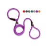 1 2 Inch Purple Dog Collie Leash for Small Medium Large Dogs 6 Foot Heavy Duty Reflective