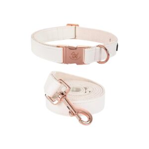 1/2 inch Wide Leather Dog Collar and Leash Combination for Small Dogs