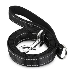 1 Inch Wide Black Nylon Dog Leash for Medium Dogs with Padded Handle and Reflective