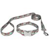 1 Inch Wide Dog Collar and Leash with Vintage Roses Floral Design