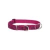 1-Inch Wide Martingale Collar in Plum Blossom Pattern for Medium to Large Dogs