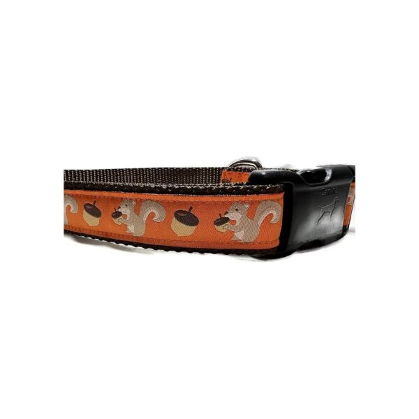 1 Inch Wide Nylon Dog Collar with Squirrel Design and Adjustable Buckle