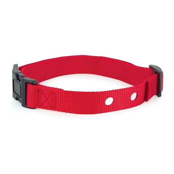 1 Inch Wide Replacement Collar Strap for In-Ground Fence and Wireless Pet Containment