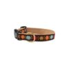 1" Wide Dog Collar in Multi Colors with Fun Floral Design