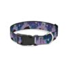 1" Wide Polyester Dog Collar with Plastic Buckle and D-Ring Fits 15-26" Necks