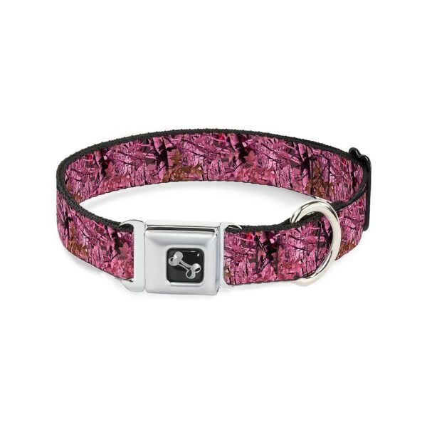 1" Wide Seatbelt Buckle Dog Collar for Large Puppies and Dogs