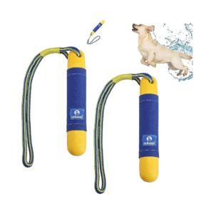 10'' Dog Floating Toys 2 Pack Summer Beach Outdoor Pool Training Bumpers