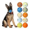 10 PCS 5 Inch Dog Toy Balls for Large Medium Small Puppy Training Fetch