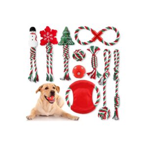 10 Pack Christmas Dog Toy Set for Small Medium Dogs with Teething Toys