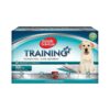 100-Count Absorbent Dog Training Pads for Reliable Housebreaking and Odor-Free Living