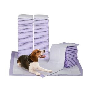 100 Count Dog Training Pads with Lavender Scent and Attractant for Pet Owners