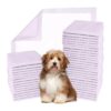 100-Count Package of Large Soft Pee Pads for Adult Dogs and Seniors