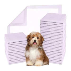 100-Count Package of Large Soft Pee Pads for Adult Dogs and Seniors