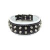 100% Leather Dog Collar with Studded Design for German Shepherd to French Bulldog