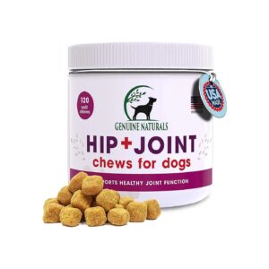 100% Natural Hip and Joint Supplement for Dogs with Turmeric