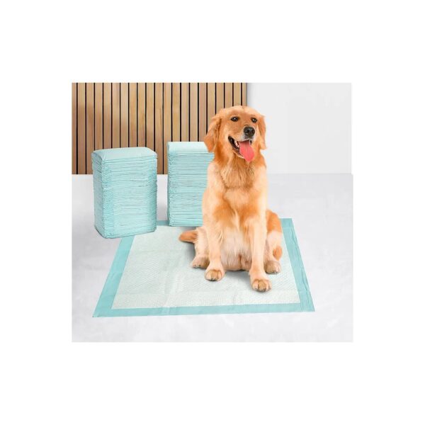 100 Pack Dog Training Pads, Regular Size 22 x 22 Inches for Large Breeds