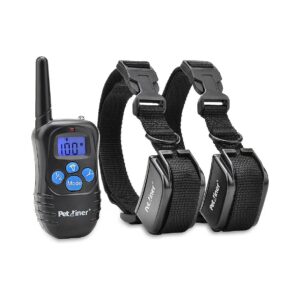 100% Waterproof Dog Collar with Remote for 2 Dogs, Rechargeable, Adjustable, and Compact