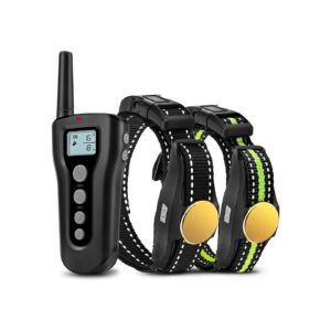 1000ft Remote Shock Collar for 2 Dogs with Adjustable Training Modes and Water Resistant