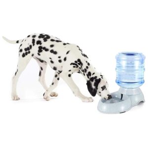 11L Pet Water Dispenser Station with Gravity Feeder for Large Pulseful Pets