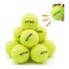 12 Pack Squeaky Tennis Balls for Small Medium Large Dogs with Carry Bag