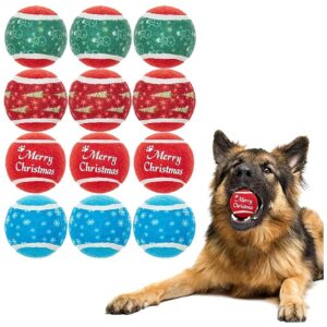 12 Pack Tennis Balls with Squeakers