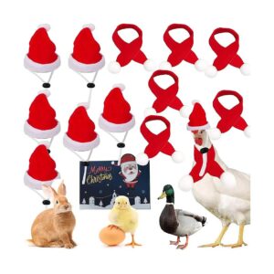 12 Piece Christmas Pet Hat and Scarf Kit with Adjustable Strap