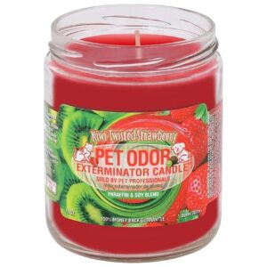 13 Oz Kiwi Twisted Strawberry Jar Candle for Removing Pet, Smoke, and Household Odors