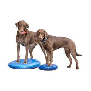 14'' Blue Balance Disc for Dogs Rehabilitation and Fitness Training Improves Balance