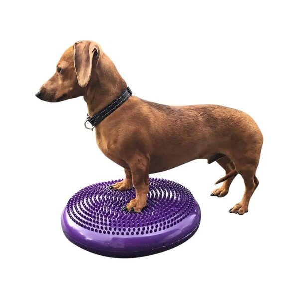 14-Inch Purple Dog Balance Disc for Exercise and Rehabilitation