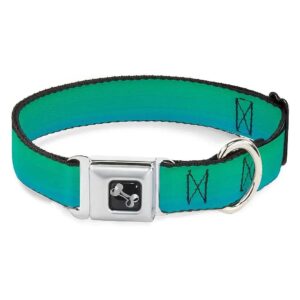 15-26" Neck Size, 0 Inch Wide, Multicolor Teal Ombre