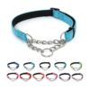 15 Neck Martingale Collar with Reflection for Dog Training Blue Nylon Soft Adjustable