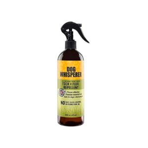 16 Ounce Spray Natural Flea and Tick Repellent for Dogs, Safe and Effective