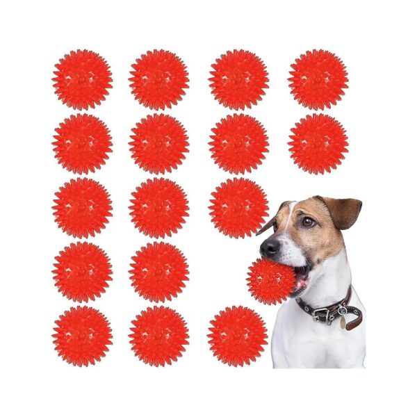 16-Pack TPR Rubber Balls with Spiked Texture for Teething, Fetch and Chew Play