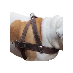 16" Thick Leather Chest Strap Dog Pulling Walking Harness Brown Large