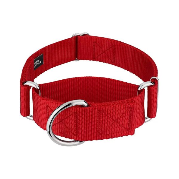 17 Vibrant Colors Available in 1 1/2 Inch Martingale Adjustable Dog Collar