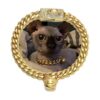 18K Gold Cat Dog Collar Stainless Steel Chain Kitten Puppy Wide Curb Link with Gold Bell