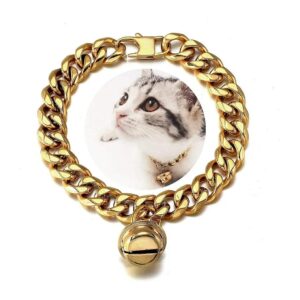 18K Gold Cuban Link Stainless Steel Cat Collar with Custom Tag and Gold Bell