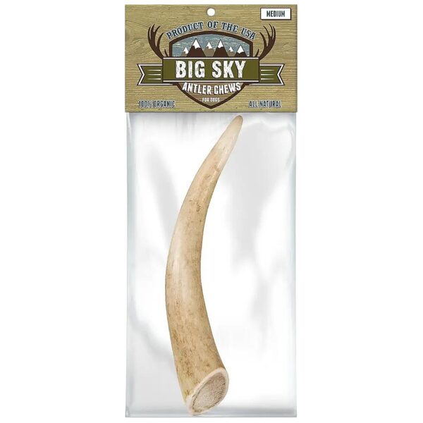 1ct Medium Beef Flavor Antler Chew Stick for Adult Dogs