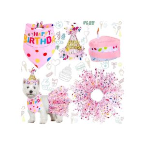 1st Birthday Girl Dog Bandana with Hat and Dress Girl Set for Small Medium Dogs in Pink