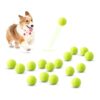 2-Inch Diameter, Natural Rubber, Pet Toy for Small Medium Size Dogs