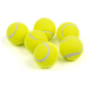 2 Inch Tennis Balls for Small to Medium Breed Dog Interactive Play and Training