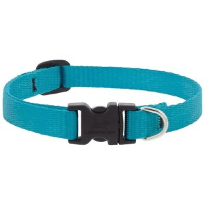 2-Inch Wide Aqua Dog Collar Adjustable from 6 to 9 Inches Long