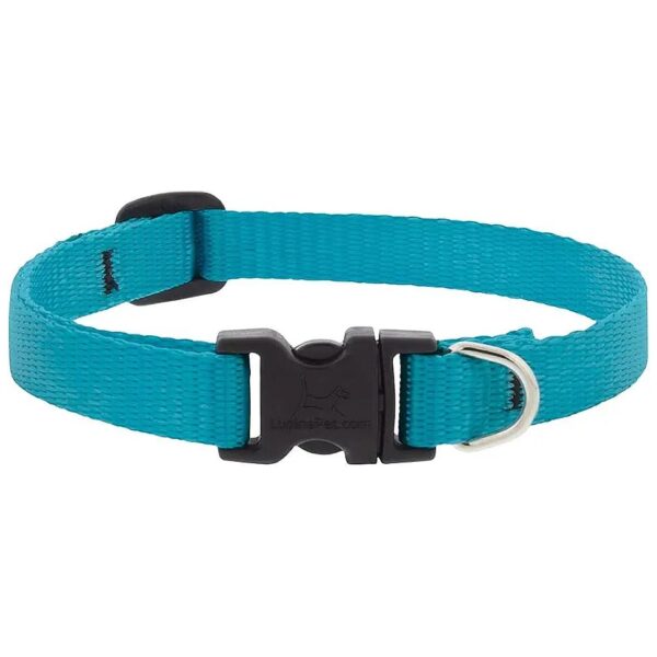 2-Inch Wide Aqua Dog Collar Adjustable from 6 to 9 Inches Long