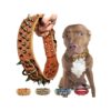 2 Inch Wide Leather Dog Collar with Large Spikes for Pitbulls and Dobermans