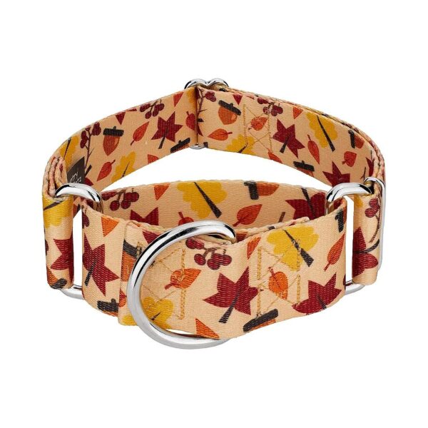 2 Inch Wide Martingale Collar in Fall Colors and Premium Hardware