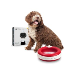 2-Liter Red Pet Water Bowl with Non-Spill Design and Easy Cleaning Features